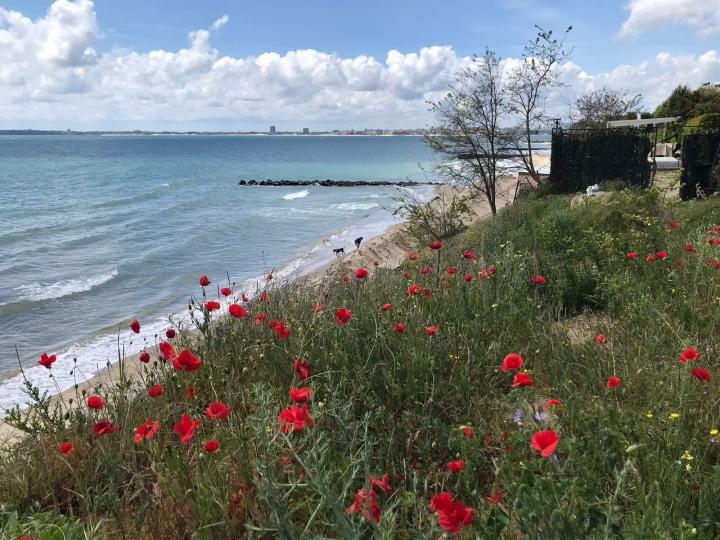 Bulgaria, Burgas
