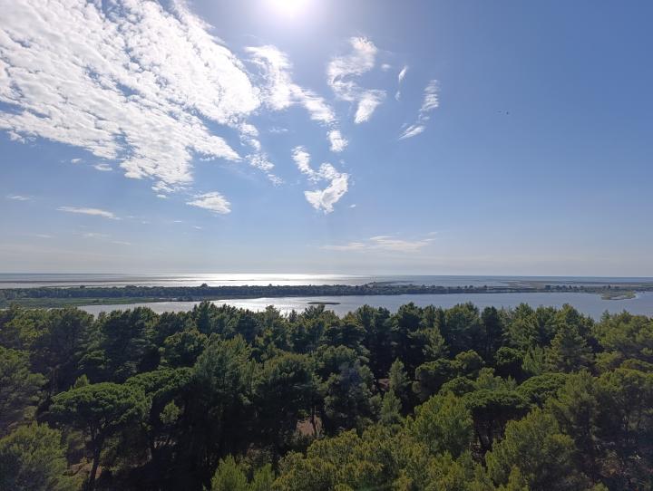 Albania, Divjaka