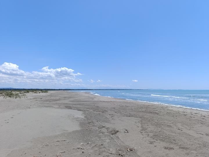Albania, Divjaka