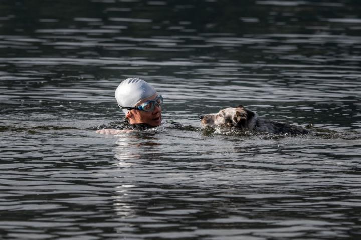 Deep Cove Swimming - Dogs and Seals | Canada, British Columbia, Deep Cove