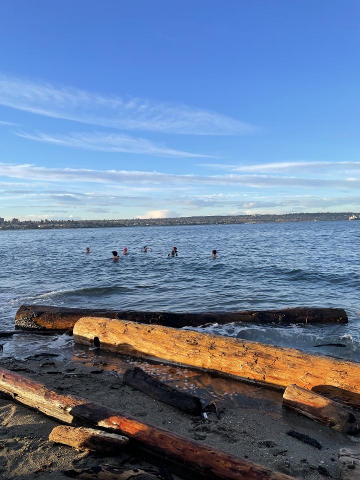 English Bay Cold Water Dippers | Canada, British Columbia, Vancouver