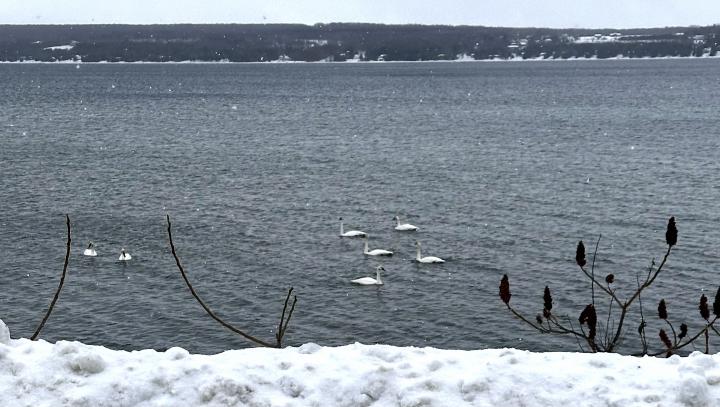 Colpoys bay Wiarton | Canadá, Ontário, Wasaga Beach