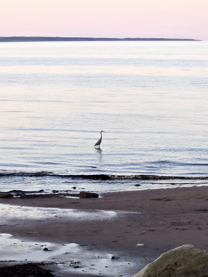 Pictou Lodge Beach | Canada, Nova Scotia, Pictou
