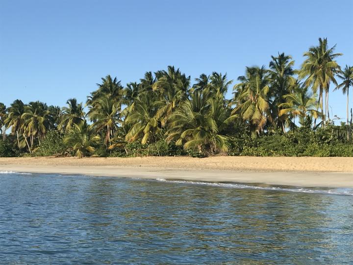 Playa Esmeralda | Dominican republic, Miches