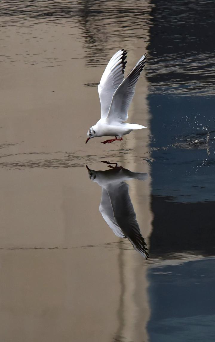 Ireland, Clonakilty