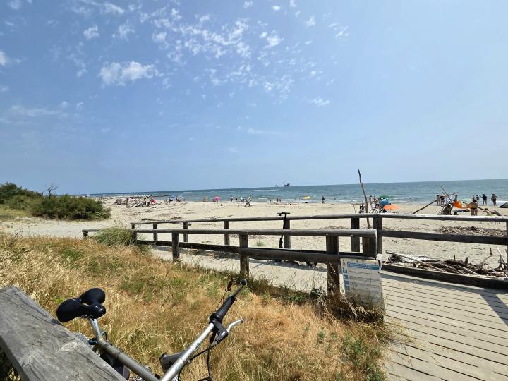 LIDO Di Dante | Italy, Emilia-Romagna, Ravenna