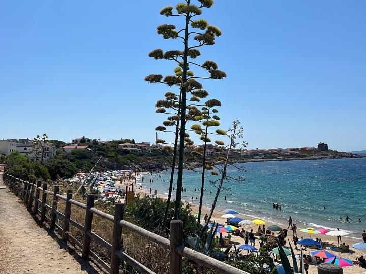 Portopaglietto e Capo Altano | Italie, Sardaigne, Portoscuso