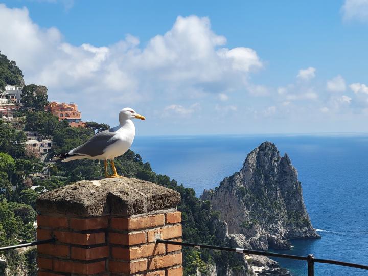 Italy, Campania, Capri
