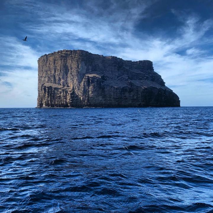 Islote Afuera (Outer Islet, also Islote Zapato) - Guadalupe Island | Mexico, Baja California, Ensenada