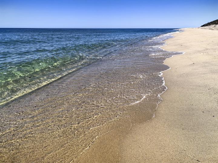 Messico, East Cape, La Ribera